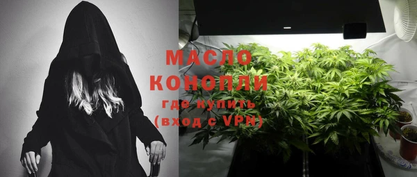 шишки Елабуга