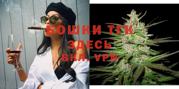 шишки Елабуга