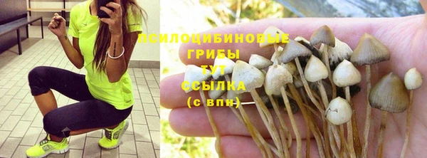 шишки Елабуга