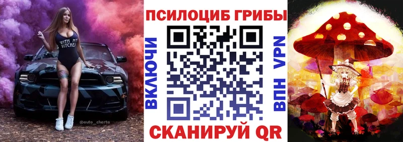 darknet официальный сайт  OMG онион  Туймазы  Галлюциногенные грибы мицелий 